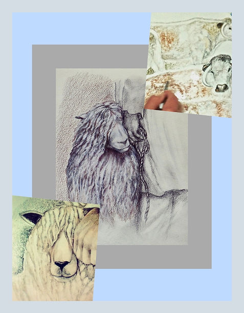 collage of preparatory Drawing and China bowls.