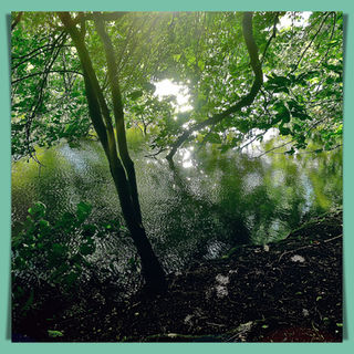 September mellow ripple