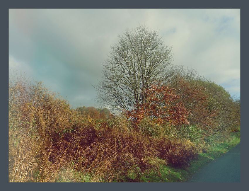 Subtle mellow November