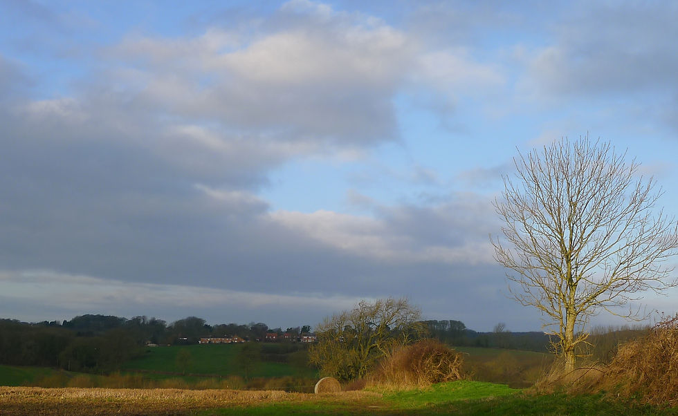 A field in the Wolds 1..jpeg