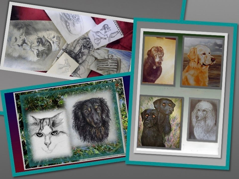 Pet portraits: cats and dogs, pencil sketches and paintings