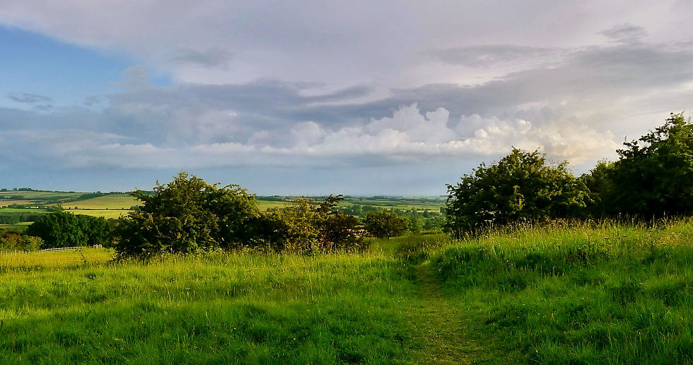 Top of the Wolds in July