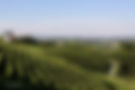 colline_sandamianesi.jpg