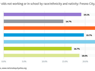 Why Immigrant Status Matters