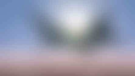 Aerofly FS by IPACS on the Nintendo Switch.