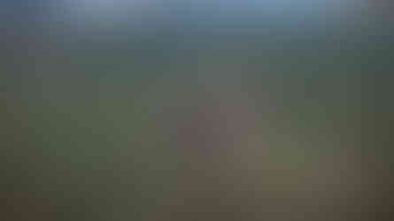 Nuclear Option by Shockfront Studios. A-19 Brawler.