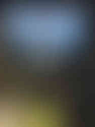 Combat Pilot booth at Flight Sim Expo 2025.