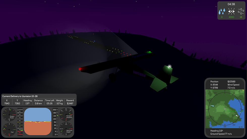 Bush 1022 by Dimitar Stoyanov.  Flying at night with the flood lights on reaching an airport with its lights on.