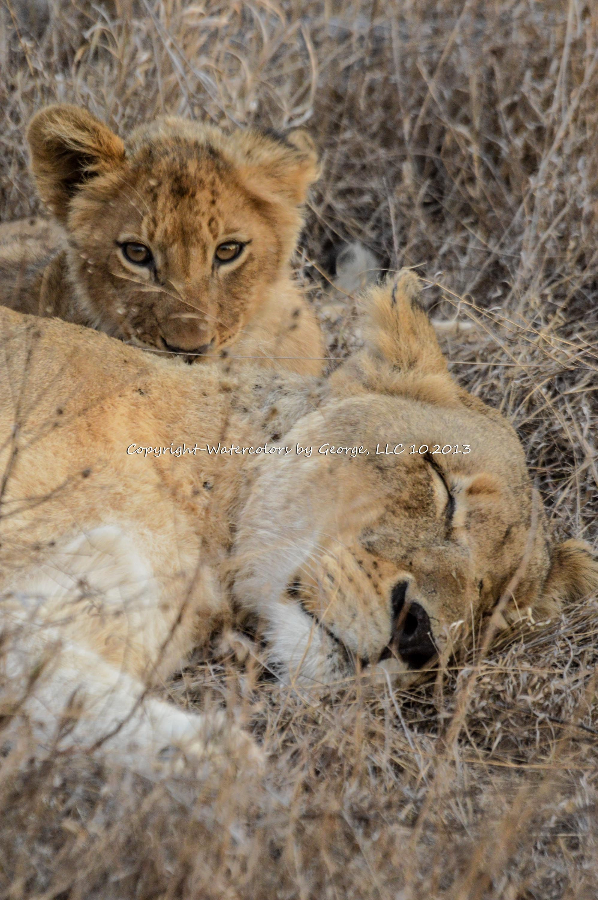AFAL-010(p)   "Mom, Wake UP?"