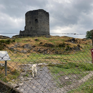 Dolbadarn Castle, Llanberis