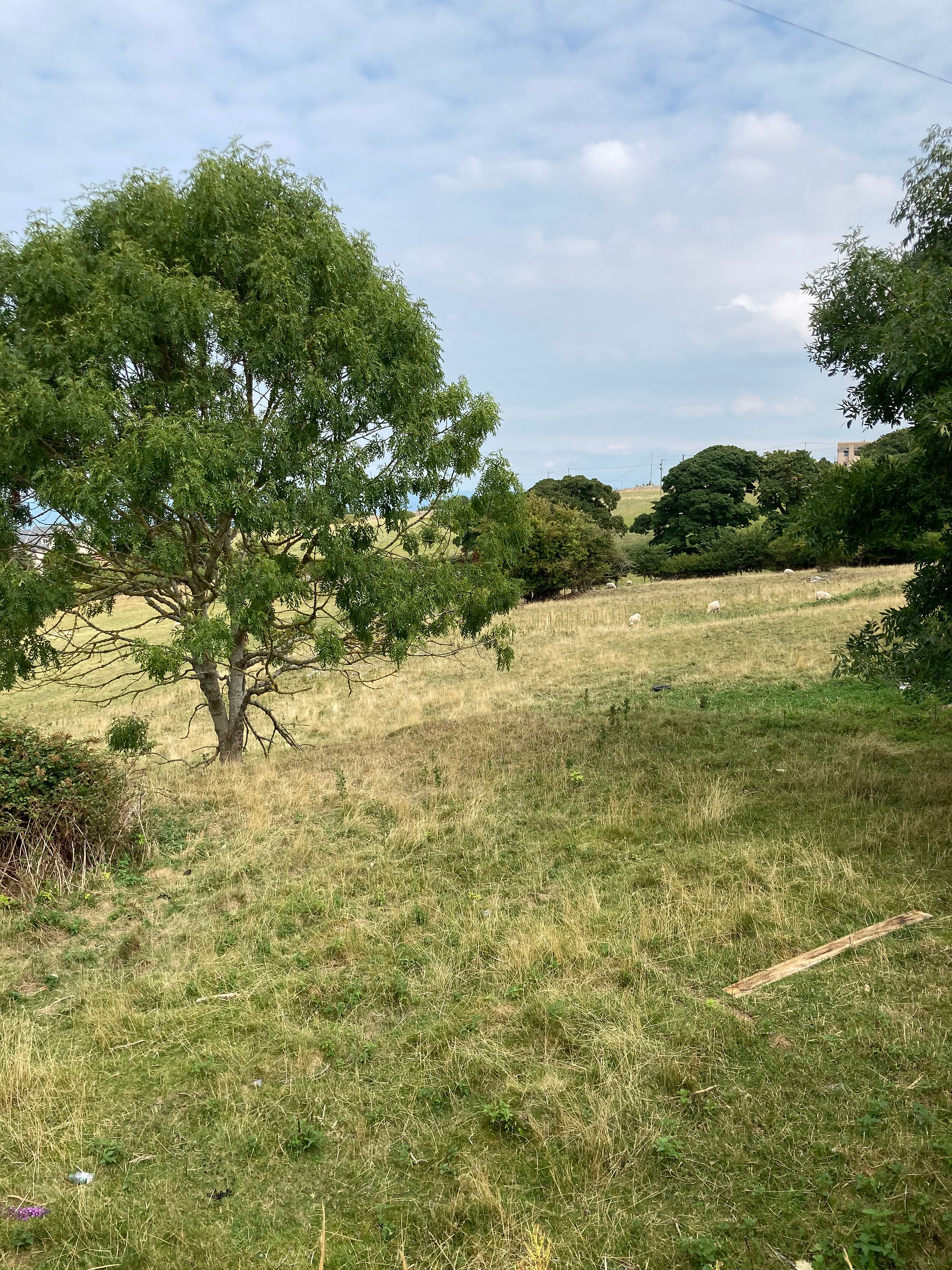 Fields at Conwy Brewery