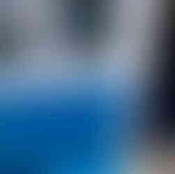 Ocean bar's dog friendly sign