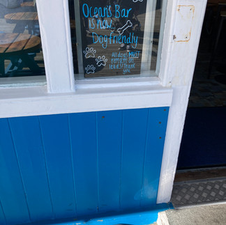 Ocean bar's dog friendly sign