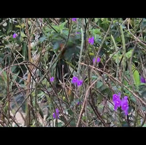 Signs you might benefit of therapy