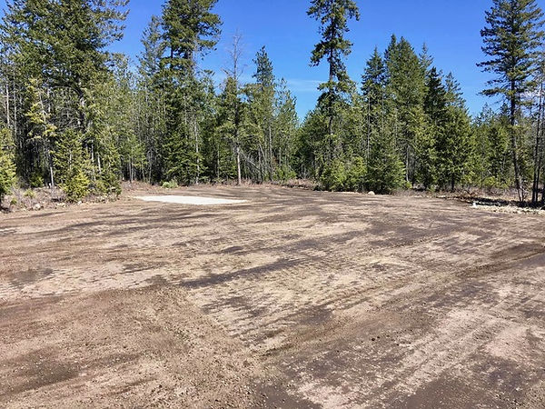 land clearing for future build