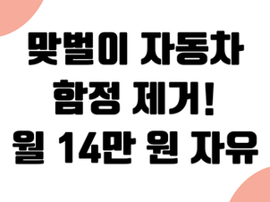 맞벌이 부부 자동차 연계 '숨은 함정' 제거: 특약 4개 삭제 월 14만 원 자유