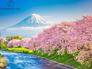 Combat Travel Stress in Japan: Why a Head Spa Is Your Mental Reset Button 🧘♂️✨