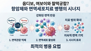 옵디보, 여보이와 찰떡궁합? 항암제와 면역세포치료 병행의 시너지