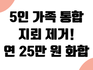 5인 가족 간병·실손 '통합 지뢰' 제거: 연 25만 원 감소 가족 화합 성공