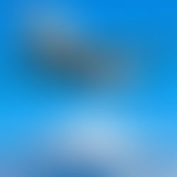 "몸도 안 좋은데 왜 일본까지…" 그 질문에 대한 가장 솔직한 답변