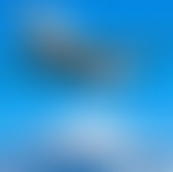 "몸도 안 좋은데 왜 일본까지…" 그 질문에 대한 가장 솔직한 답변