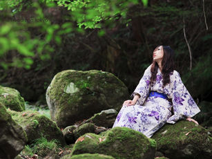 Forest Bathing in Tokyo: Your Ultimate Guide to Shinrin-yoku 🌳🍃✨