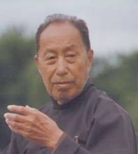 MeWangYenNien