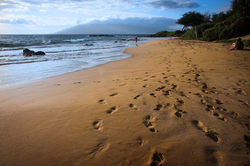 Maui