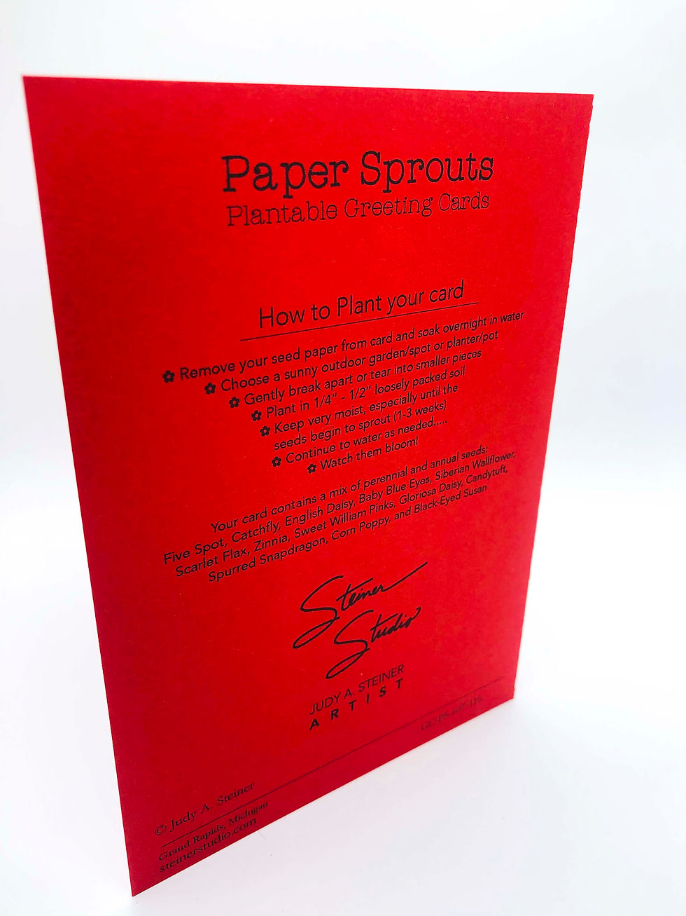 Thumbnail: Paper Sprouts GC-PS-607