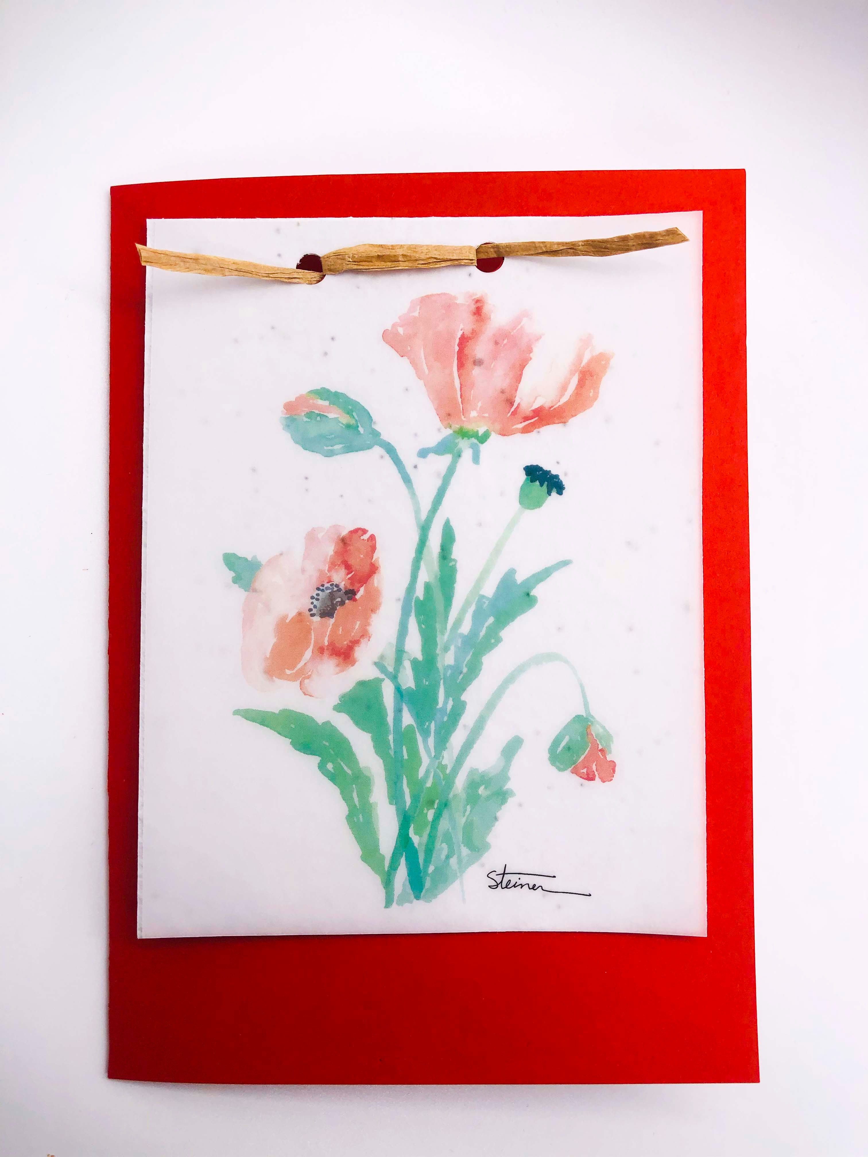 Paper Sprouts GC-PS-605