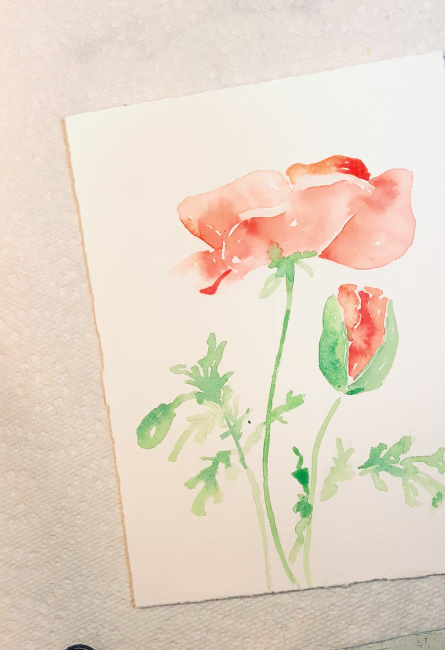 Thumbnail: Paper Sprouts GC-PS-604