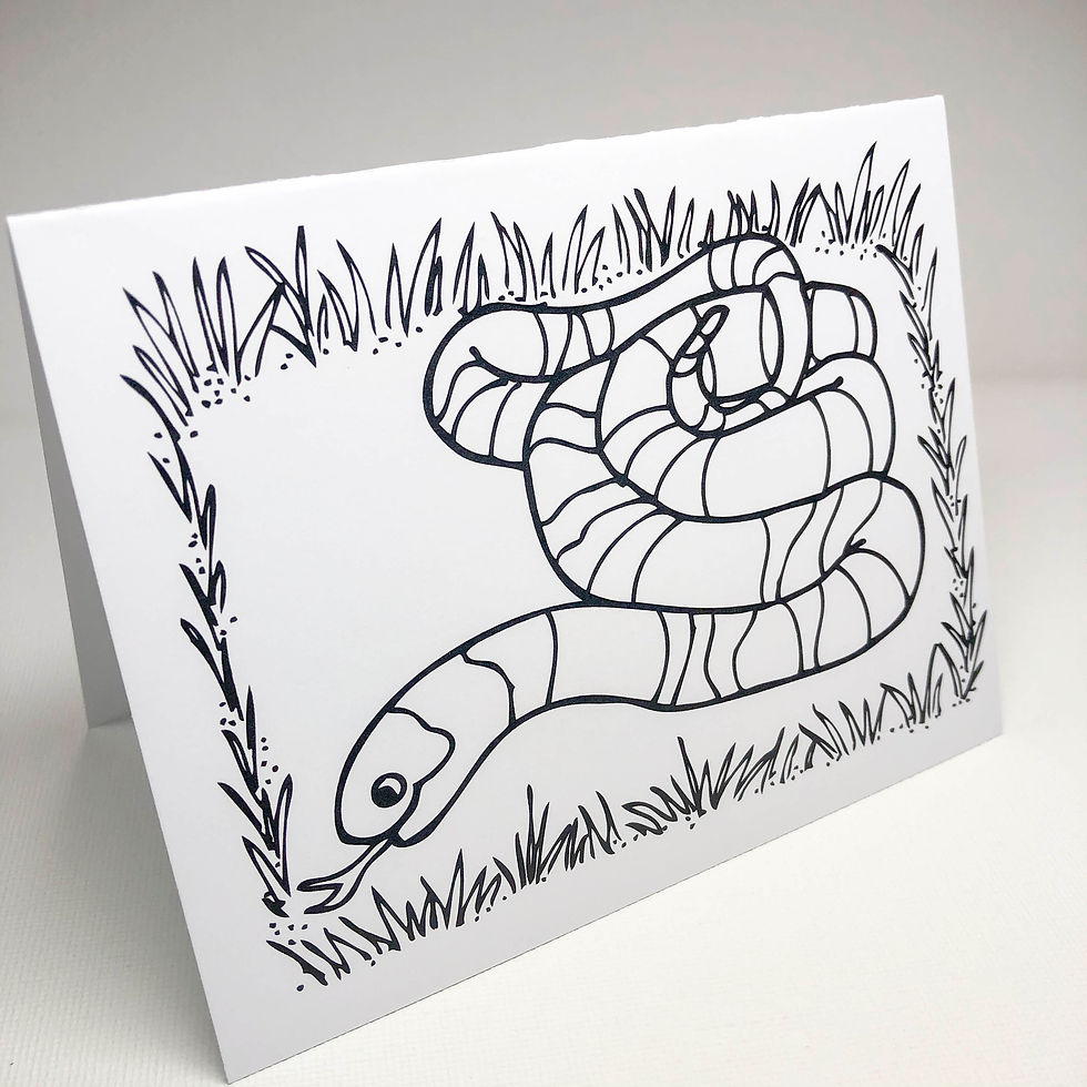 Thumbnail: Creepy Crawlie Colorables