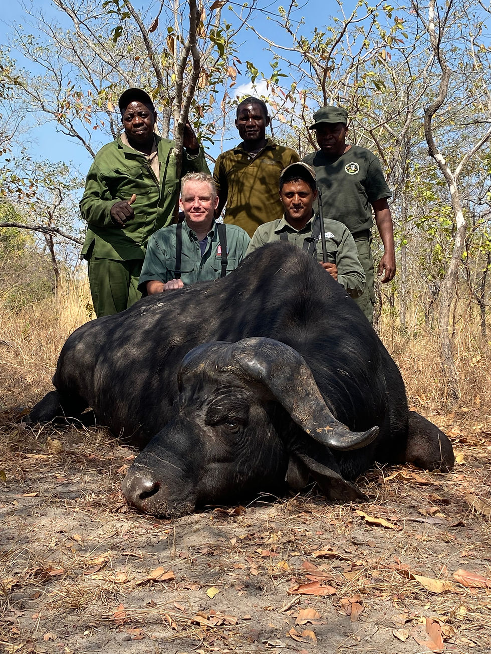 Why Men Dream of Hunting Cape Buffalo