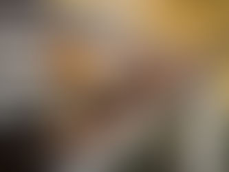 Essential Tips to Prepare Your Gutters for Spring