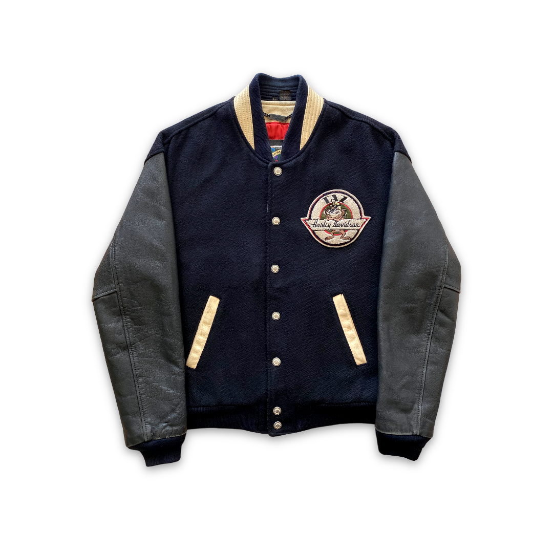 Vintage Very Rare Harley Davidson x Warner Bros Varsity Jacket (M/L)