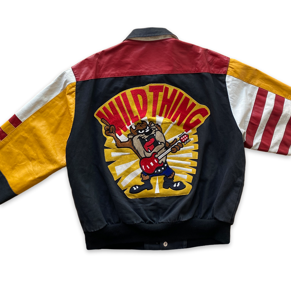 Küçük resim: 1992s Jeff Hamilton X Warner Bros Bomber Jacket (M)