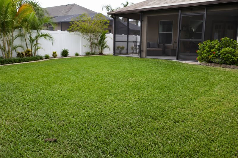 Port Charlotte backyard with a small missed dog waste pile hidden in the grass near a screened lanai.
