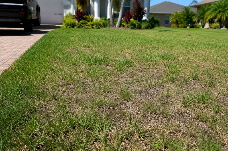 thin patchy lawn with sandy soil and stressed grass in North Port Florida