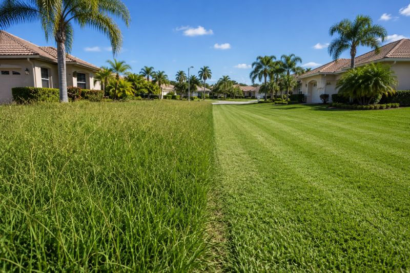 Overgrown lawn beside a freshly maintained lawn in a Southwest Florida neighborhood, showing the difference regular mowing can make.
