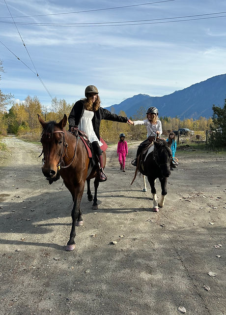Horseback riding day camps