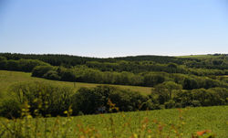 Cornish Countryside