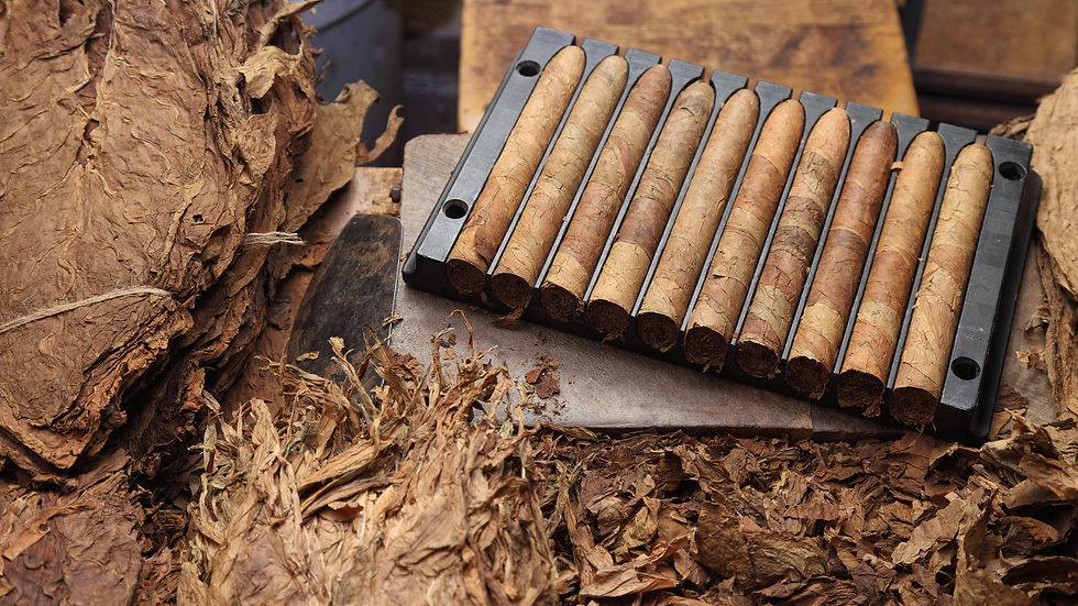 A Century of Excellence Milestones in Puerto Rico Tobacco Company’s