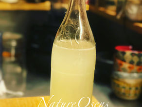 Le kéfir de fruits : une boisson vivante pour soutenir la digestion