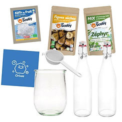Kit Scoby kéfir de fruit
