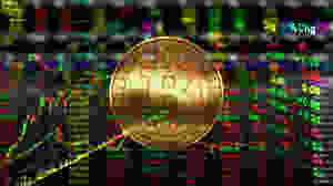 Anyone Can Host a Crypto Exchange - Tim Draper Backed Startup Launches New Wordpress Plugin