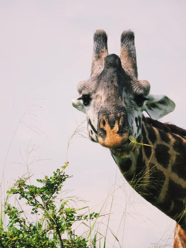 91 A Different Perspective.jpg