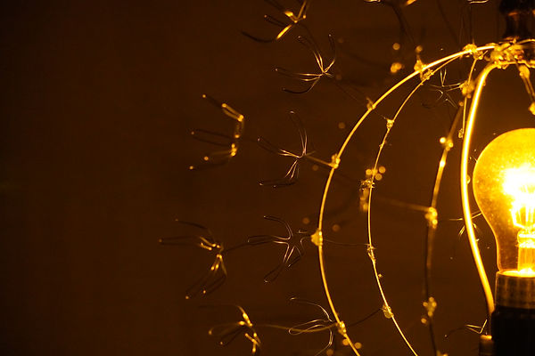 #42 Dandelion Lamp(Detail)_Wire.JPG