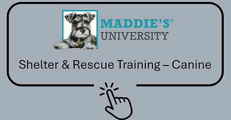 AWOIP Dog Training 2.png