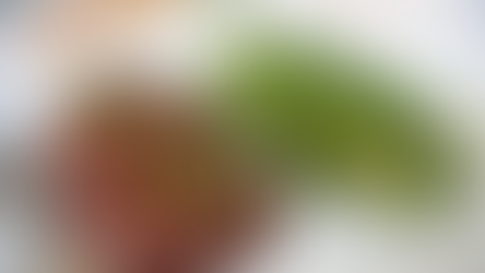 BMC Ingredients Reports Longevity-Linked Compounds in Rhiza Mycoprotein