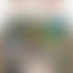 DIY Backyard Treehouse on a budget...